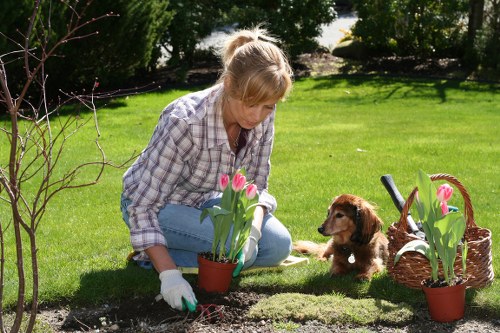 Photograph showing garden maintenance work in progress