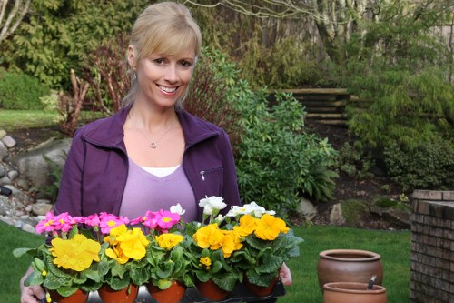 Seasonal lawn care tips for Chelsea gardens